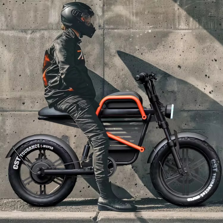 60V 20Ah WideTire Electric Mot - Commuting With Road Bike 评论和价格